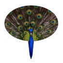 Search for peacock cake toppers Colorful