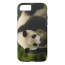 Search for panda iphone cases sichuan province