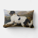 Search for landseer newfoundland Landscape