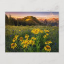 Search for crested butte postcards Landscape
