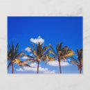 Search for riviera maya postcards Beach