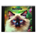 Search for balinese cat portrait