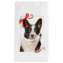 Search for corgi gift bags Cardigan welsh corgi