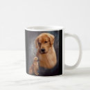 Search for golden retriever mugs Goldens