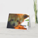 Search for red panda cards Bear