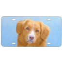 Search for duck license plates Dog