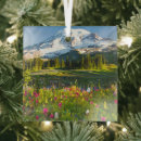 Search for indian ornaments Landscape