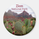 Search for zion national park magnets Mountain