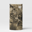 Search for deer candles nature
