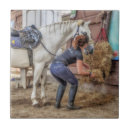 Search for horse barn gifts White