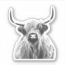 Search for cow stickers Animal