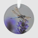 Search for dragonfly ornaments Summer