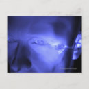 Search for transparent postcards People