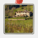 Search for tuscany ornaments Rural