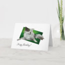 Search for australian shepherd cards Herding