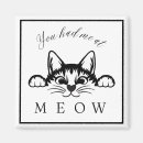 Search for black cat magnets Fun