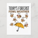 Search for weather forecast postcards Meteorologist