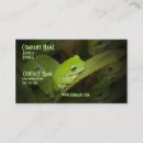 Search for frog business cards Toad