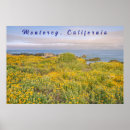 Search for monterey posters Landscape