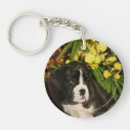 Search for boxer keychains Puppies