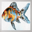 Search for goldfish posters Japanese