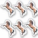 Search for black horse stickers Pet