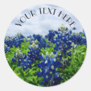 Search for bluebonnet stickers Floral