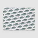 Search for sharks tissue paper Illustration