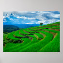 Search for rice paper art Winter
