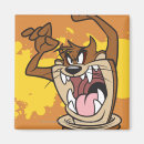 Search for wile e coyote magnets Tweety