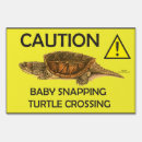 Search for caution signs Crossing