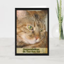 Search for new pet cat congratulations cards Kitty