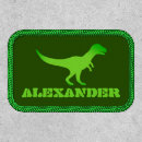 Search for dinosaur gifts Boy