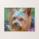 Search for yorkie puzzles Pet
