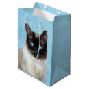 Search for cat gift bags Siamese
