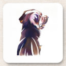 Search for labrador coasters Dog