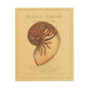 Search for vintage wood wall art Sea