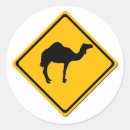 Search for camel stickers mammal