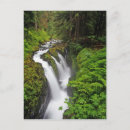 Search for olympic national park postcards Waterfall