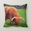 Search for highland cow pillows Horns