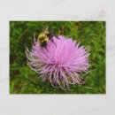 Search for flower postcards Purple