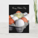 Search for chicken mothers day cards Bird