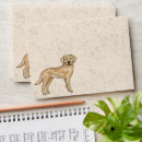 Search for yellow envelopes Illustration