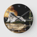 Search for big clocks Tigers