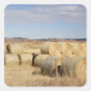 Search for wyoming stickers Country