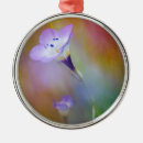 Search for point loma lighthouse Cabrillo