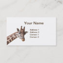 Search for giraffe business cards Cute