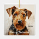 Search for airedale terrier ornaments Watercolor
