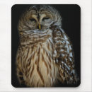 Search for owl mousepads Barred