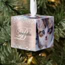 Search for brown tabby cat ornaments For her